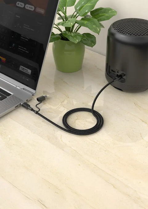 2 IN 1 AUDIO CABLE 1M USB-C, LIGHTNING TO 3.5 MM AUX