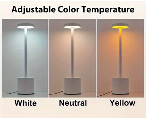 Simple LED Rechargeable Touch Metal Table Lamp Three Colors
